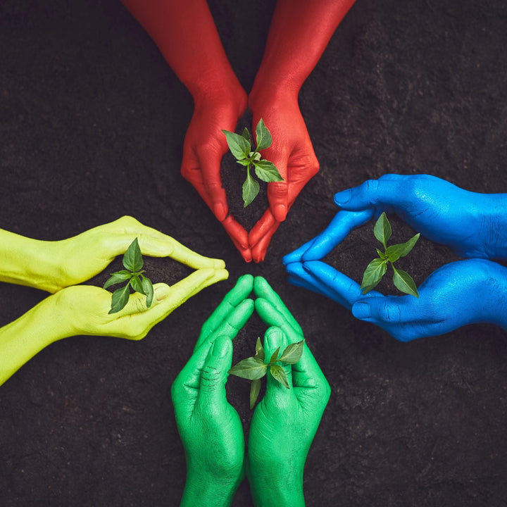 Eco-Friendly & Sustainable