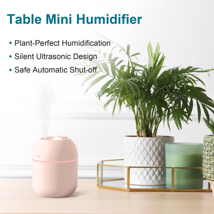 Portable Mini Humidifier – 220ml USB Cool Mist for Home & Travel