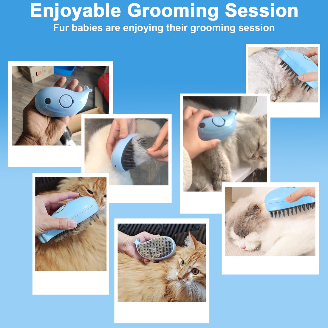 Cat Steam Brush for Shedding – Steamy Grooming & Massage Comb